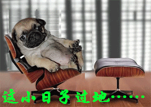 300_213gif 动态图 动图