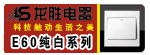 ��ʤ E60 ϵ��