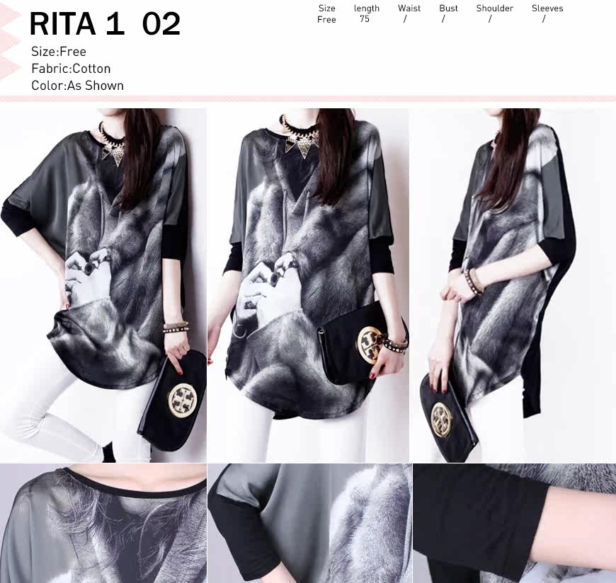RITA1-02