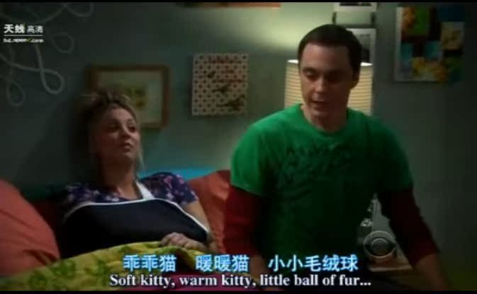 Футболка мужская One along SheldonT Soft Kitty Big Bang Theory Футболка мужская One along SheldonT Soft Kitty Big Bang Theory, One along