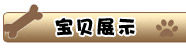 吉娃娃/可爱/纯种吉娃娃犬 赛级吉娃娃/终身保障/北京可上门！