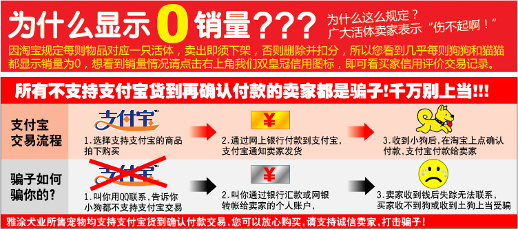 CKU认证三火蓝眼 哈士其 幼犬 支持支付宝 交易