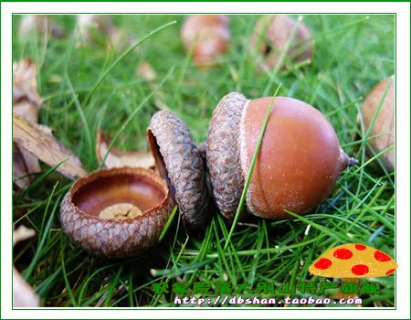 农家院落大别山特产旗舰--店铺介绍_委员长