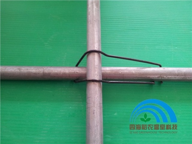 【温室大棚钢丝配件视频弹簧夹压顶簧顶骨架4义马市资材图片