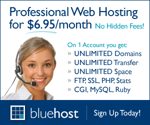 美国虚拟主机bluehost 空间的隐藏限制