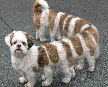 PS移花接木<em>图片</em>处理证件<em>照片合成</em>换头换脸改