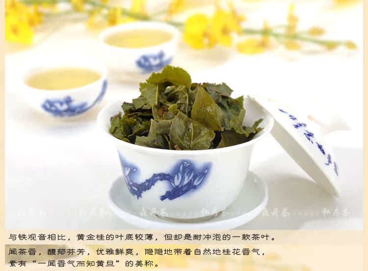 供应黄金桂 茶叶 自然发酵桂花香 安溪特产乌龙茶 新茶