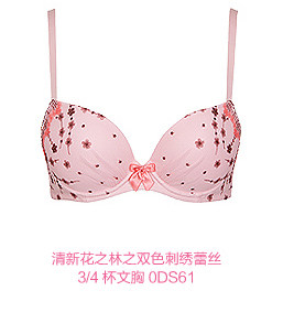 <em>古今文胸</em> 尚十六少女内衣0DS61刺绣聚拢调整