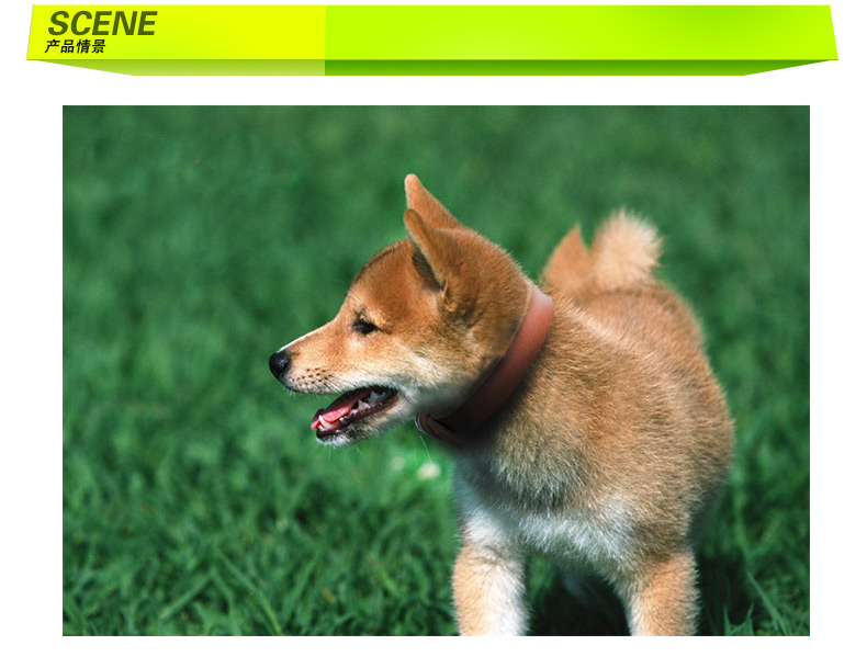 【DIY纯牛皮宠物项圈\/大狗狗脖圈宠物用品\/真皮