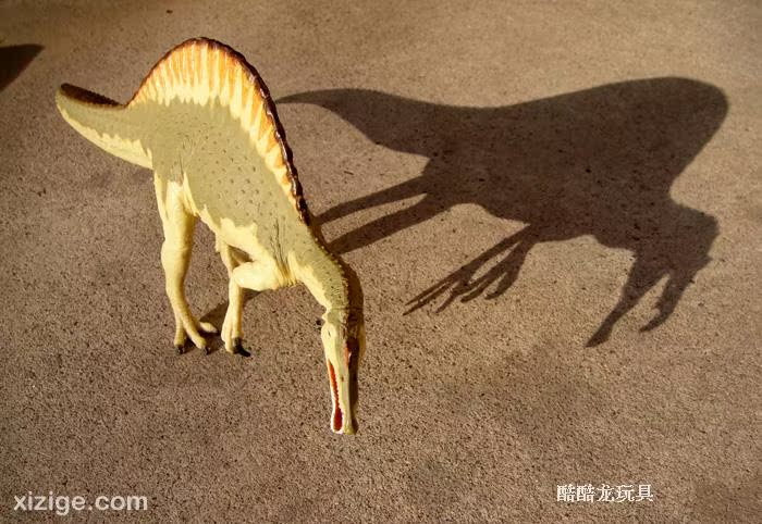 其他模型玩具-恐龙星球Safari正品脊背龙棘龙卡