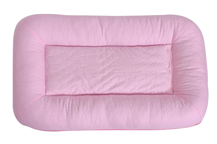 【厂家供应广西成人蚕沙枕 蚕砂荞麦枕头 单人