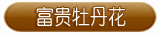 富贵l牡丹花