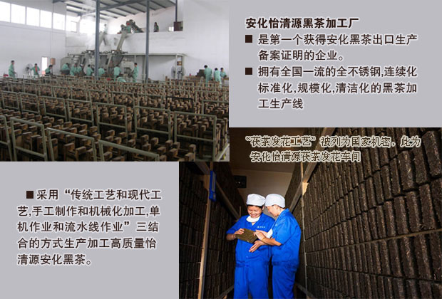 【茶叶 湖南安化黑茶318g怡清源金花茯砖茶正