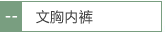 文胸内衣
