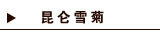 雪 菊