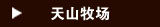 天山牧场