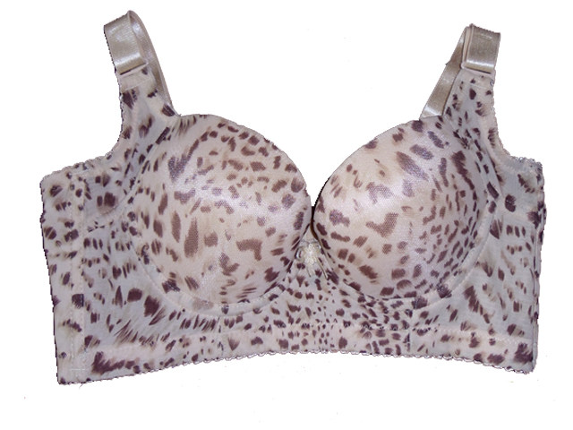 <em>精致女人美体内衣</em>豹纹模杯文胸 - 聚拢魔杯型 