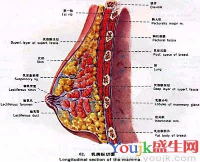 关爱生命关爱<em>女性</em>健康 - sandin-liu的日志 - 网易