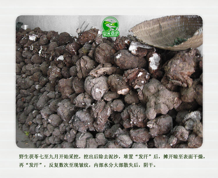 【山尖百合】自收贵州野生白茯苓 不熏硫漂白 祛斑健脾 药食同源