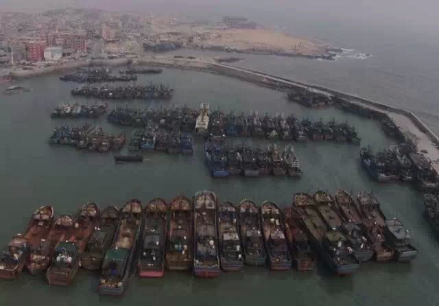 大海麻鱼机 大功率水库电鱼机 脉冲咸水电鱼机 高压电鱼捕鱼机 - 海水捕鱼器电鱼机批发 - 海水电鱼机 淡水捕鱼器 电子逆变器 大海麻鱼机 大功率水库电鱼机 脉冲咸水电鱼机 高压电鱼捕鱼机 - 海水捕鱼器电鱼机批发 - 海水电鱼机 淡水捕鱼器 电子逆变器