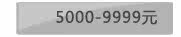 5000~9999元