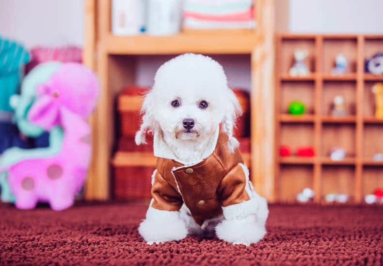 Hua Yuan hoopet dog brown jacket for autumn and winter warm lamb, Shui Suet gross dog clothes pet apparel tedu VIP Apparel dog Lamb Wool jacket L-chest 40-44cm picture, prices, brand platters! The elections are supplied in the national character of distribution, so action, buy now enjoy more preferential! As soon as possible.
