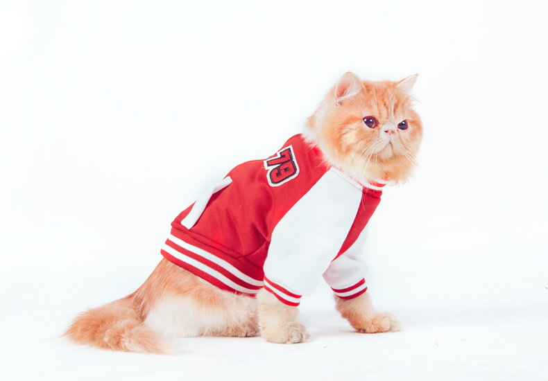 Hua Yuan hoopet autumn and winter tedu than Xiong vip sweater baseball Services Pet cotton red and white XL-chest 44-48cm picture, prices, brand platters! The elections are supplied in the national character of distribution, so action, buy now enjoy more preferential! As soon as possible.