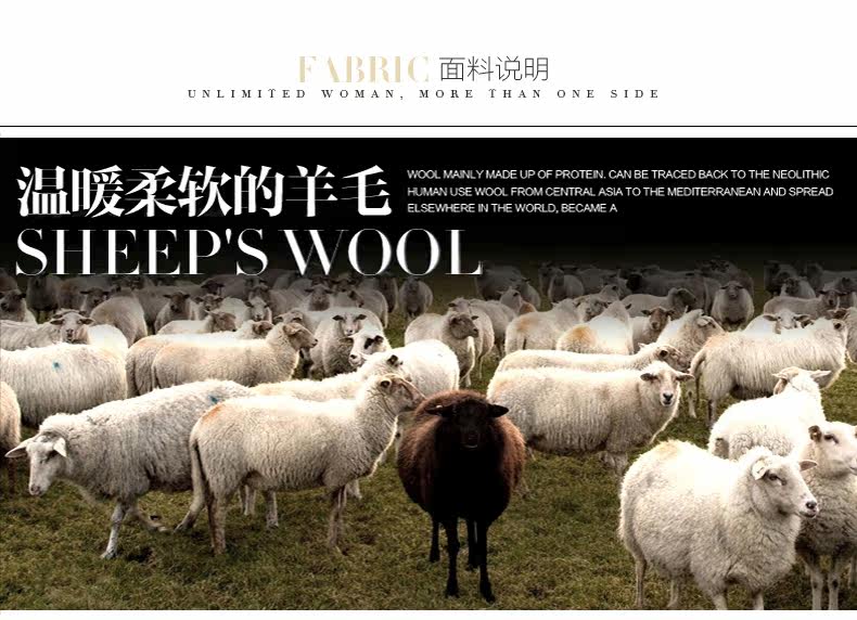 <em>红袖</em>2013<em>冬装新款</em>简约大方羊毛修身百搭<em>短裤</em>