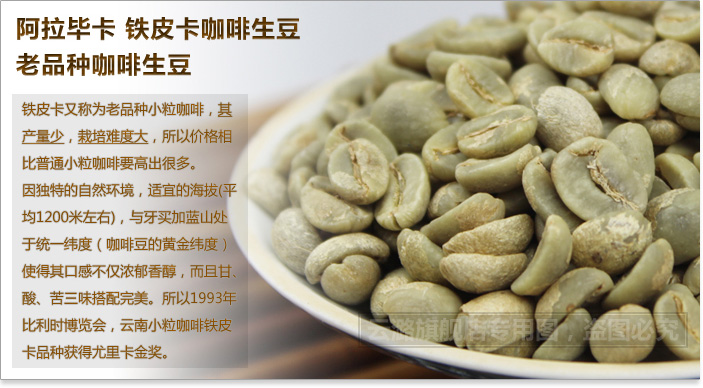 云潞 云南咖啡生豆 阿拉毕卡生豆 铁皮卡咖啡生豆 老品种咖啡生豆