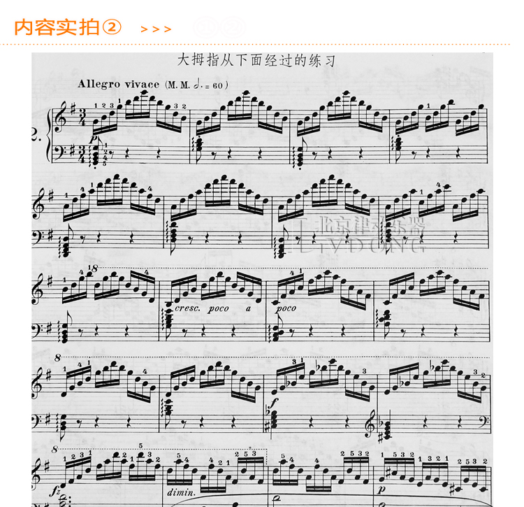 正版车尔尼740 车尔尼钢琴练习曲50首教程 作品740(699)钢琴教材