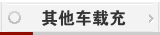 其他车载充电器