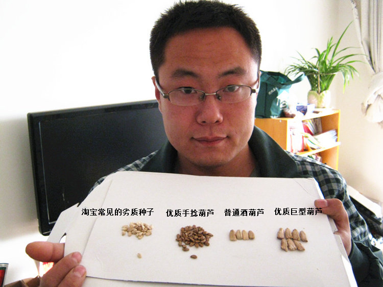 打籽葫芦种子