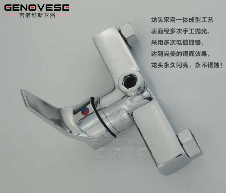 Биде 吉诺维斯 全铜冷热妇洗冲洗器小花洒洁身器二联水龙头带喷枪 Genovese