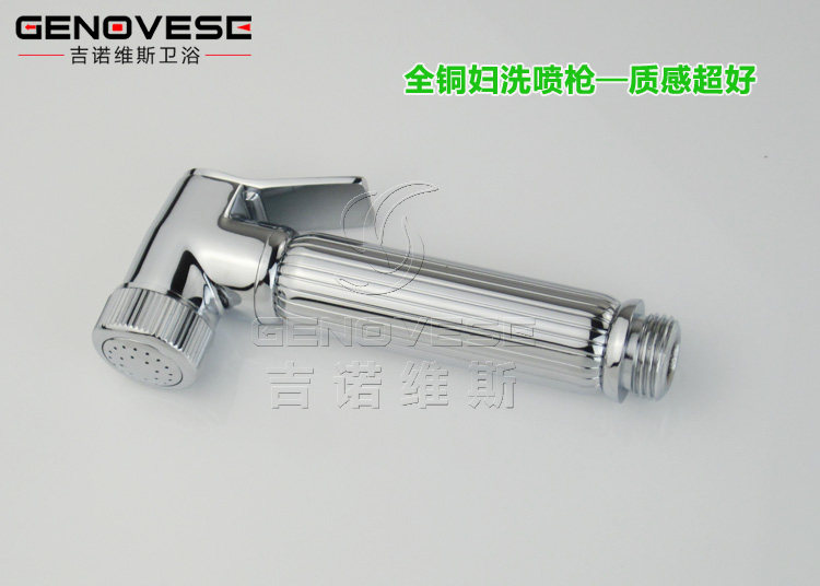 Биде 吉诺维斯 全铜冷热妇洗冲洗器小花洒洁身器二联水龙头带喷枪 Genovese