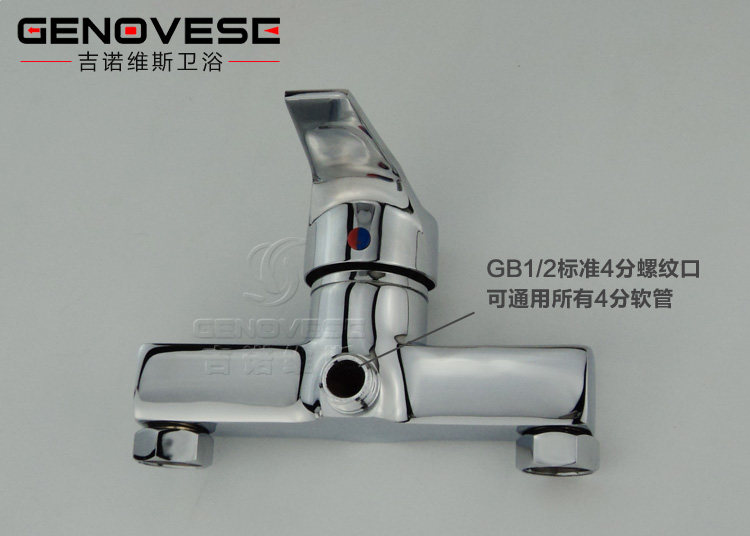 Биде 吉诺维斯 全铜冷热妇洗冲洗器小花洒洁身器二联水龙头带喷枪 Genovese