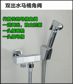 Биде 吉诺维斯 全铜冷热妇洗冲洗器小花洒洁身器二联水龙头带喷枪 Genovese