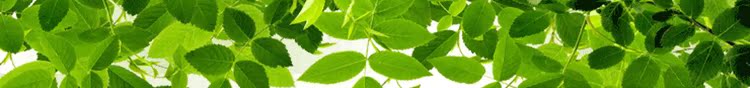 Кресло-качалка Vine to send one hundred PE Кресло-качалка Vine to send one hundred PE
