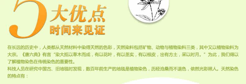 ковер 东升新西兰羊毛地毯欧式客厅茶几垫卧室床边满铺毯加密加大加厚款 Dongsheng XM/004