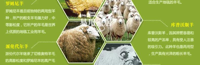 ковер 东升新西兰羊毛地毯欧式客厅茶几垫卧室床边满铺毯加密加大加厚款 Dongsheng XM/004