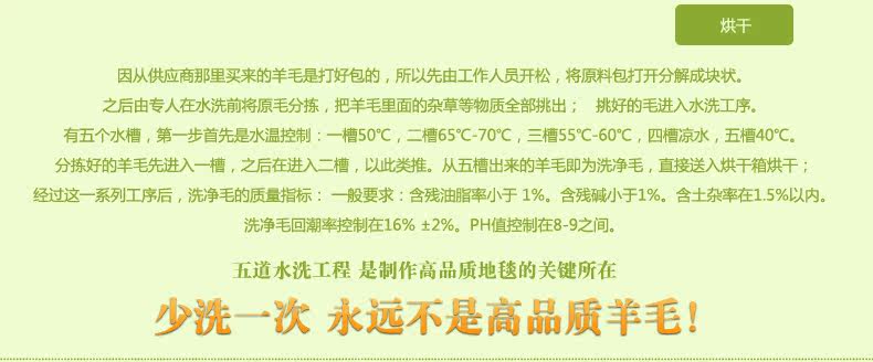 ковер 东升新西兰羊毛地毯欧式客厅茶几垫卧室床边满铺毯加密加大加厚款 Dongsheng XM/004