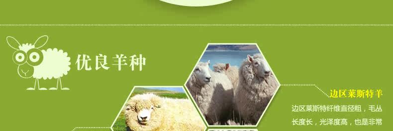 ковер 东升新西兰羊毛地毯欧式客厅茶几垫卧室床边满铺毯加密加大加厚款 Dongsheng XM/004