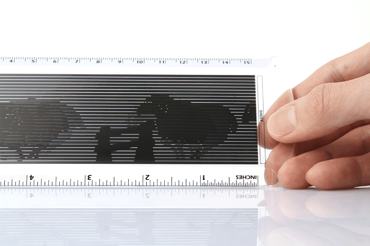 趣玩创意动画尺 5款入 创意办公用品学习文具 塑料直尺