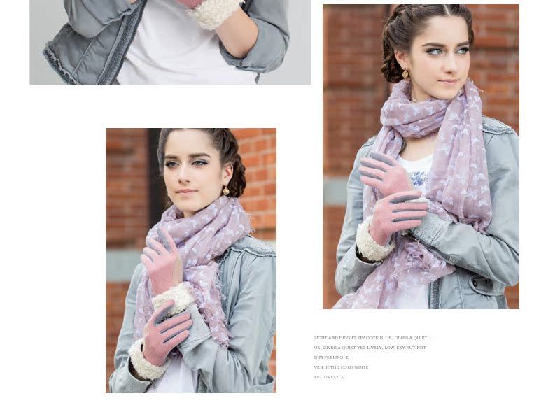 Перчатки Alyzee a3044 Перчатки Alyzee a3044