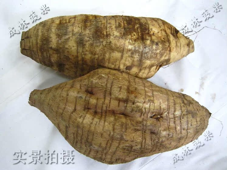 新鲜粉葛根 清甜无渣 解酒养颜降血压 长寿养生