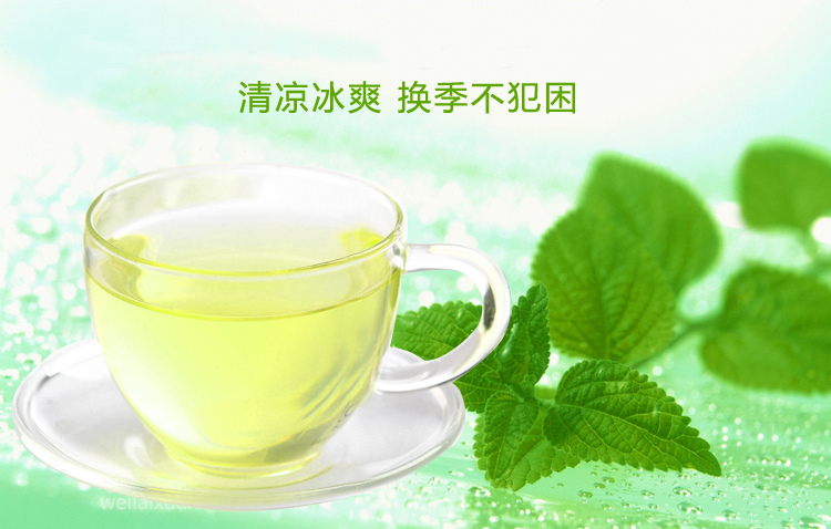 闽南茶城 薄荷绿茶 新薄荷组方茶/袋泡茶 正品包邮