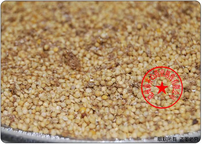 【批发供应中药材 稻芽 炒谷芽 炒谷芽 消食 健