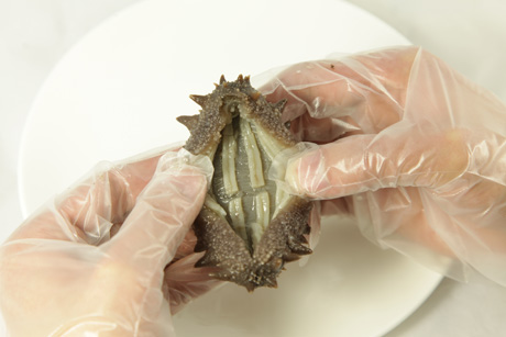 大连即食海参 礼盒辽刺参刺参去沙嘴干净即食