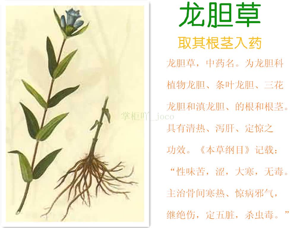 中药材 天然野生草药 龙胆草 龙胆 苦胆草 胆草 正品 批发