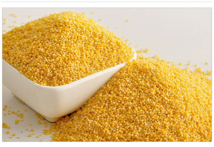 【【悦生合】优质有机小黄米450g 宝宝辅食小