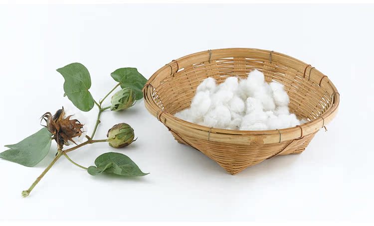 初棉显瘦2014年春秋装女款两件套女装天鹅绒